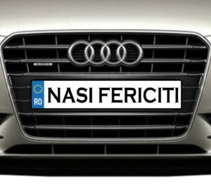 Nasi Fericiti