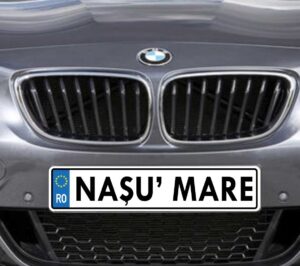 Naşu MARE