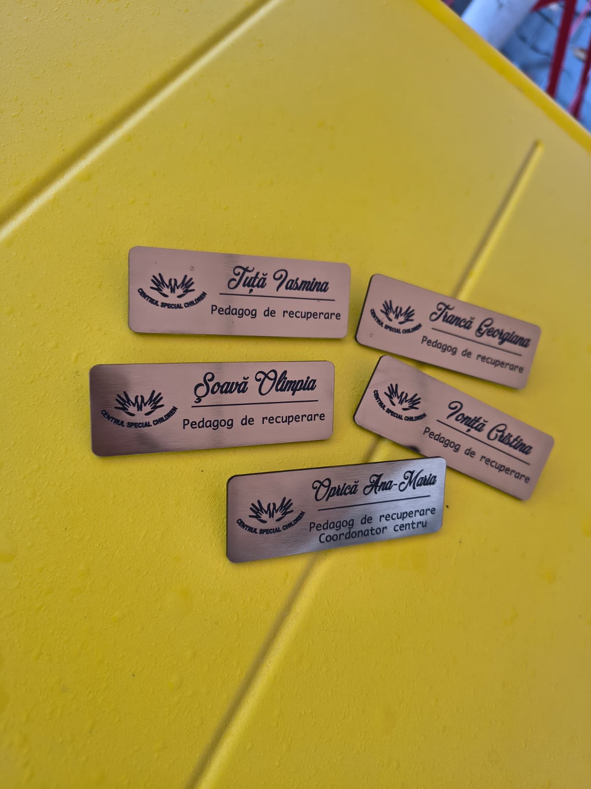 WhatsApp Image 2026-01-07 at 13.07.57